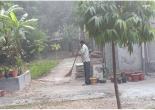 Cleaning operations in MMTC Colony, N. Delhi and Regional Offices (Mumbai, Chennai etc) in India