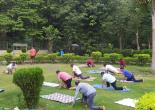 Yoga Camp in MMTC Colony, New Delhi